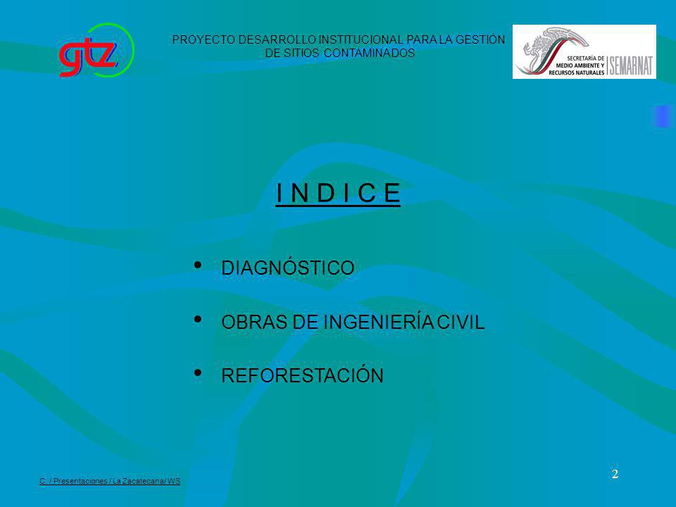 I N D I C E DIAGNÓSTICO OBRAS DE INGENIERÍA CIVIL REFORESTACIÓN