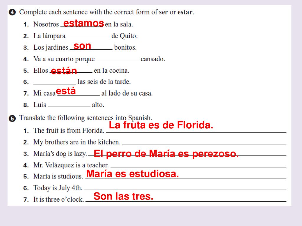 estamos son. están. está. La fruta es de Florida. El perro de María es perezoso. María es estudiosa.