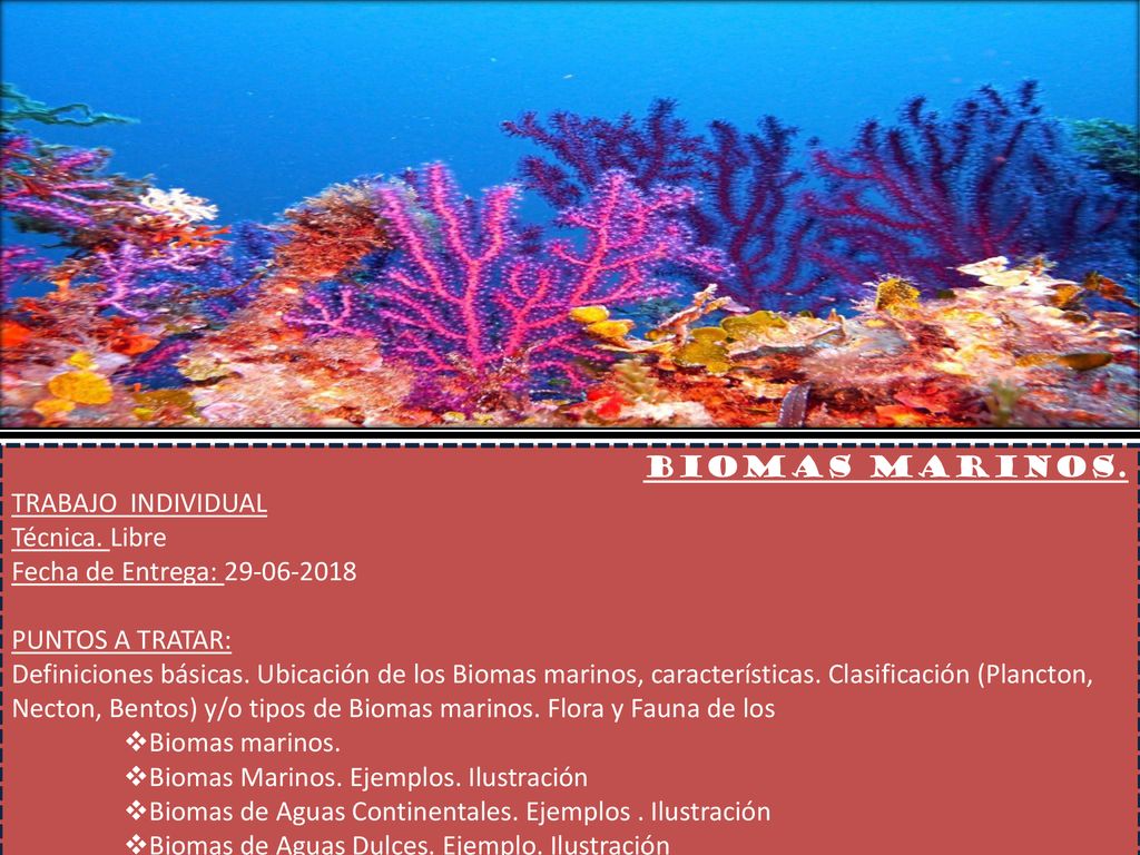 Biomas marinos. TRABAJO INDIVIDUAL. Técnica. Libre. Fecha de Entrega: PUNTOS A TRATAR: