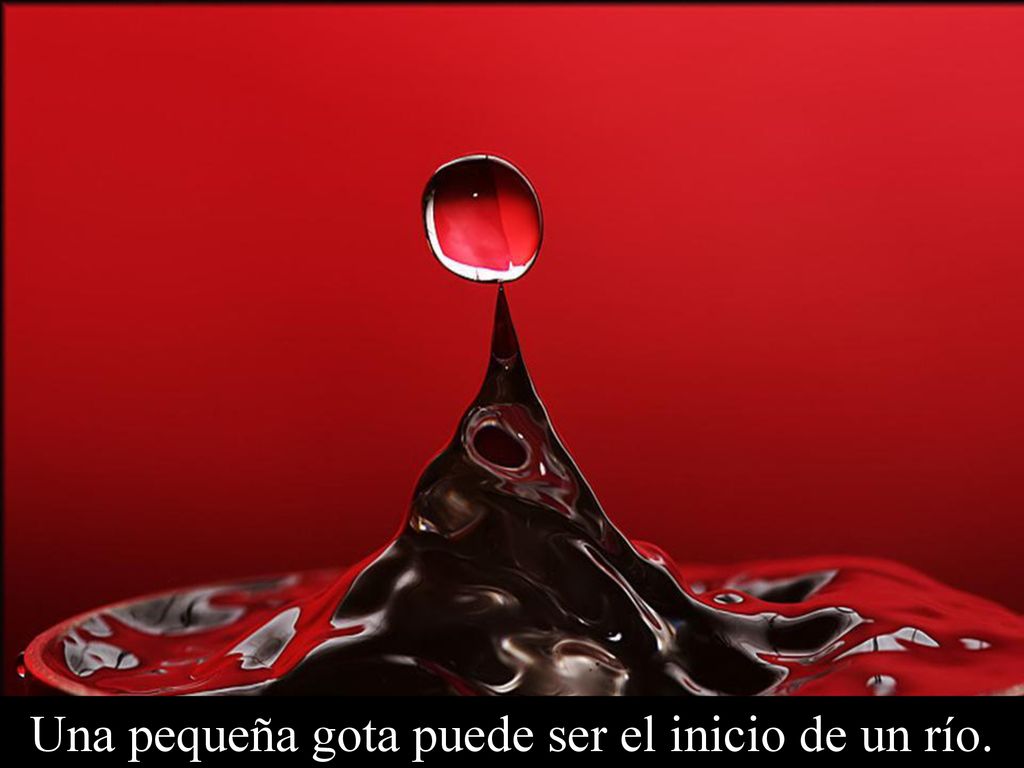 Una pequeña gota puede ser el inicio de un río.