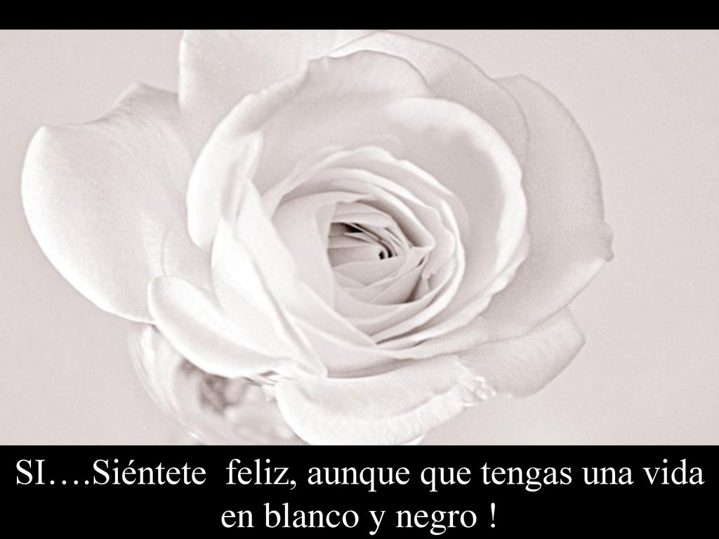 SI….Siéntete feliz, aunque que tengas una vida en blanco y negro !