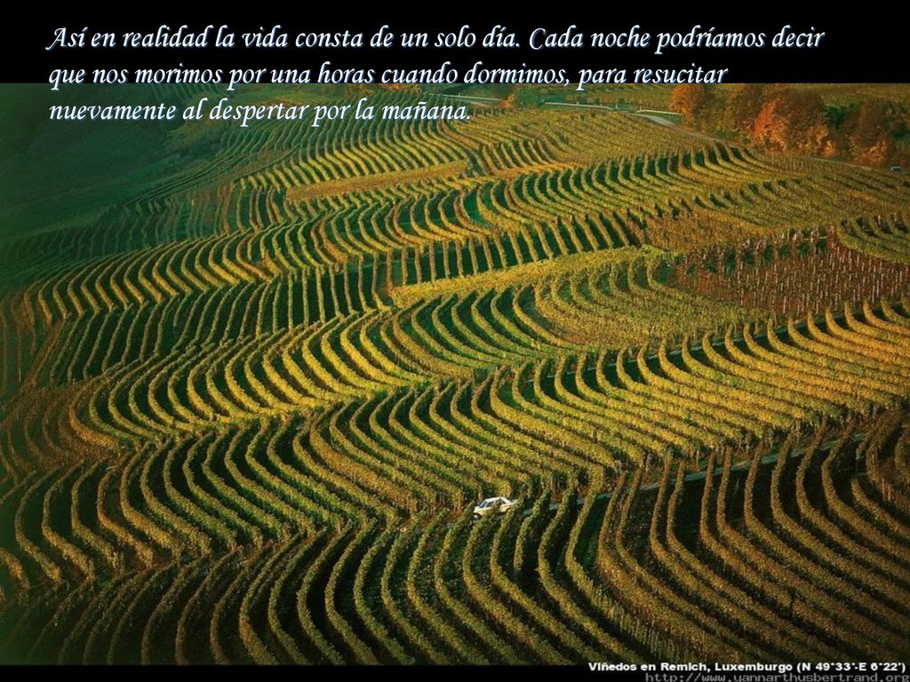 Así en realidad la vida consta de un solo día