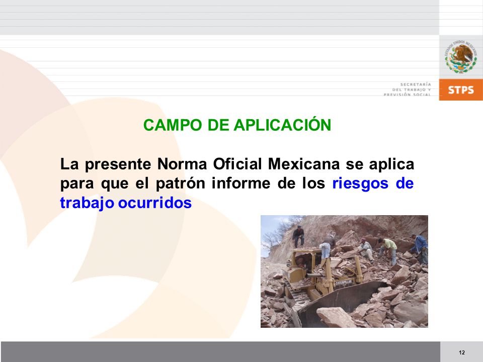 CAMPO DE APLICACIÓN La presente Norma Oficial Mexicana se aplica para que el patrón informe de los riesgos de trabajo ocurridos.