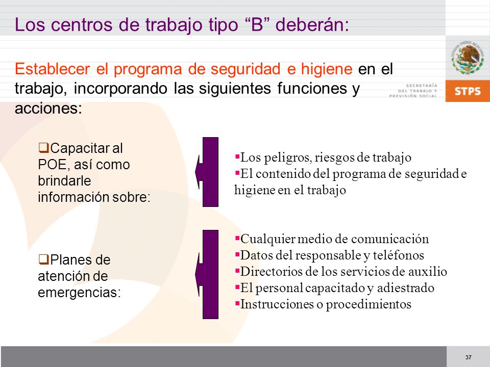Los centros de trabajo tipo B deberán: