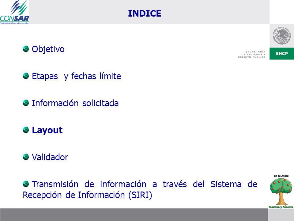 INDICE Objetivo. Etapas y fechas límite. Información solicitada. Layout. Validador.