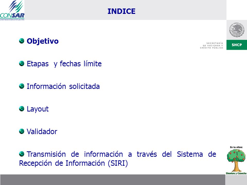 INDICE Objetivo. Etapas y fechas límite. Información solicitada. Layout. Validador.