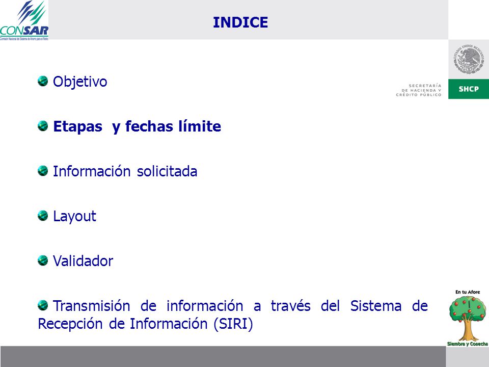 INDICE Objetivo. Etapas y fechas límite. Información solicitada. Layout. Validador.