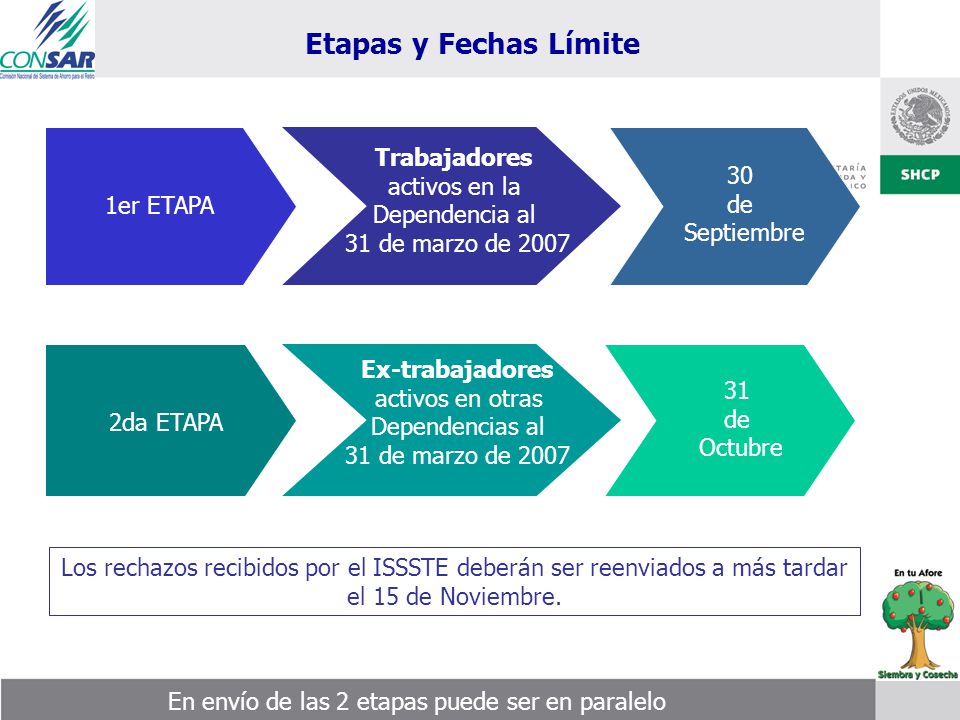 Etapas y Fechas Límite Trabajadores activos en la 30 Dependencia al de