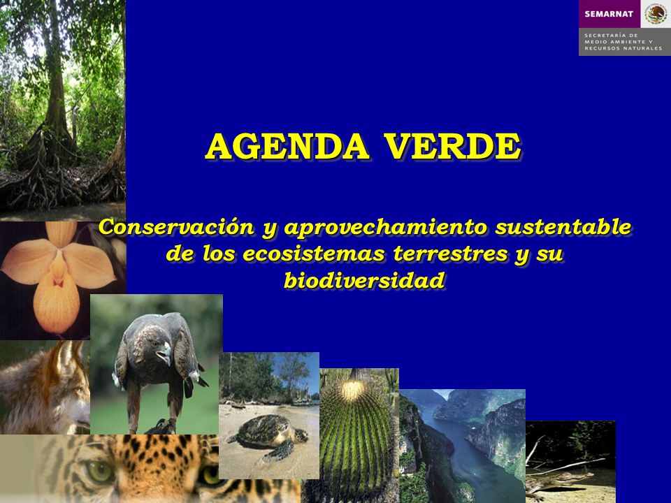 AGENDA VERDE Conservación y aprovechamiento sustentable de los ecosistemas terrestres y su biodiversidad.