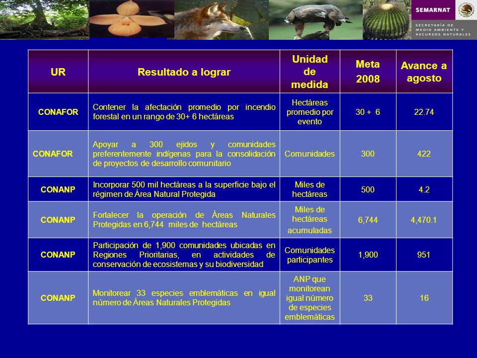 UR Resultado a lograr Unidad de medida Meta 2008 Avance a agosto