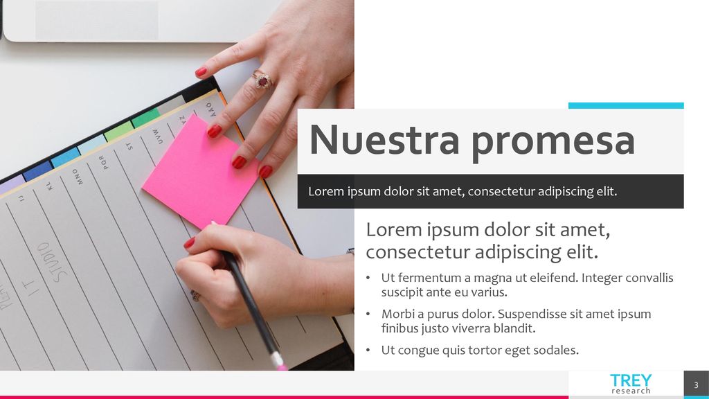 Nuestra promesa Lorem ipsum dolor sit amet, consectetur adipiscing elit. Lorem ipsum dolor sit amet, consectetur adipiscing elit.
