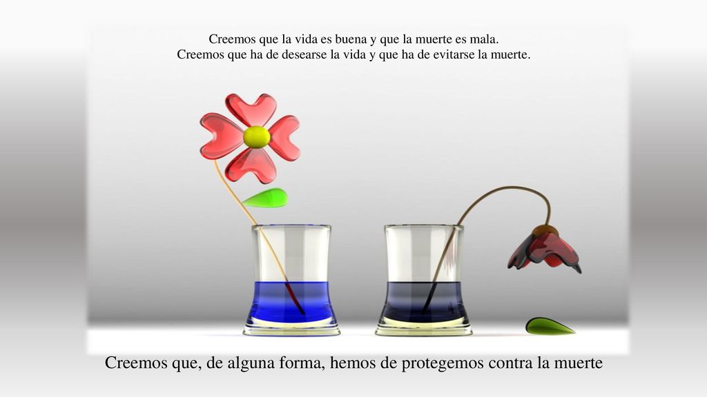 Creemos que, de alguna forma, hemos de protegemos contra la muerte