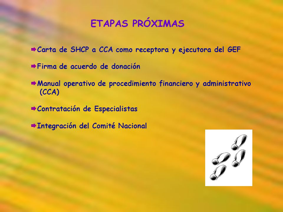 ETAPAS PRÓXIMAS Carta de SHCP a CCA como receptora y ejecutora del GEF