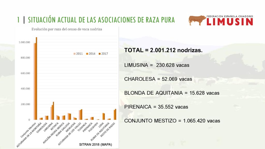 1 | SITUACIÓN ACTUAL DE LAS ASOCIACIONES DE RAZA PURA