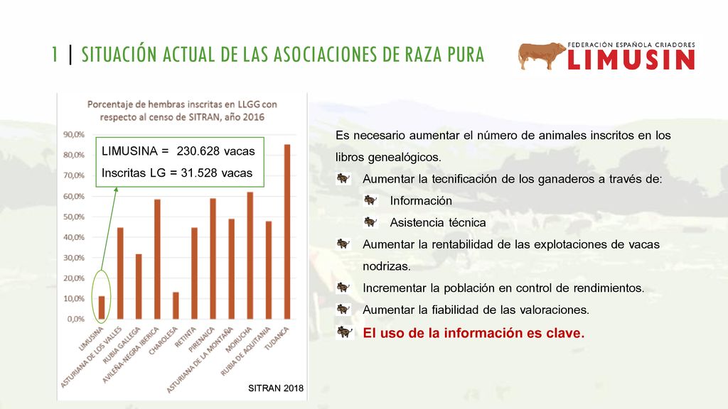 1 | SITUACIÓN ACTUAL DE LAS ASOCIACIONES DE RAZA PURA