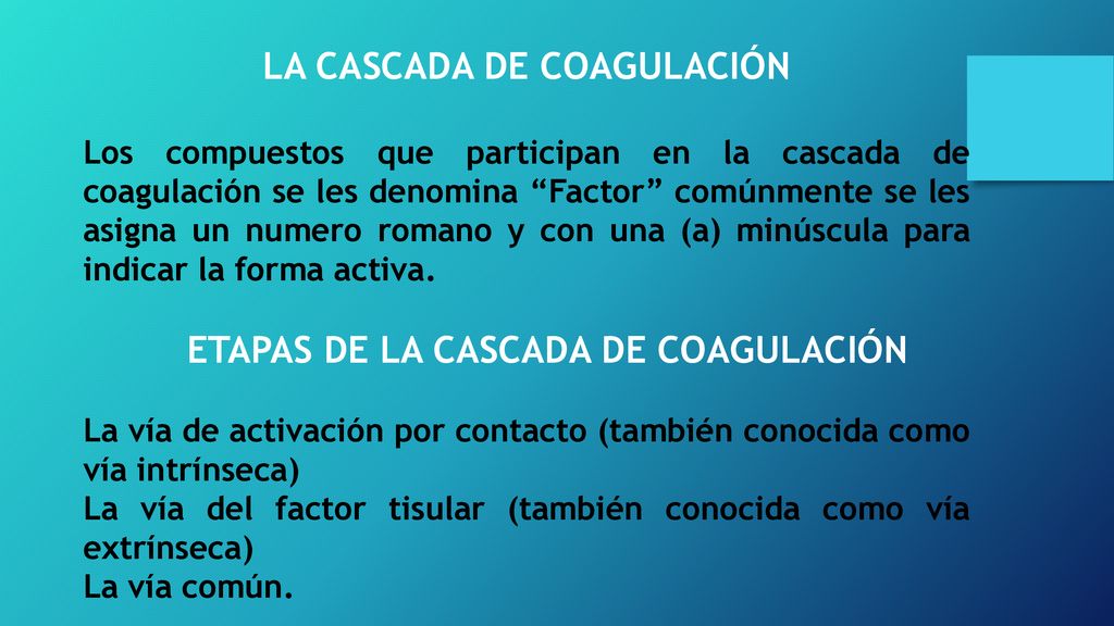 LA CASCADA DE COAGULACIÓN ETAPAS DE LA CASCADA DE COAGULACIÓN