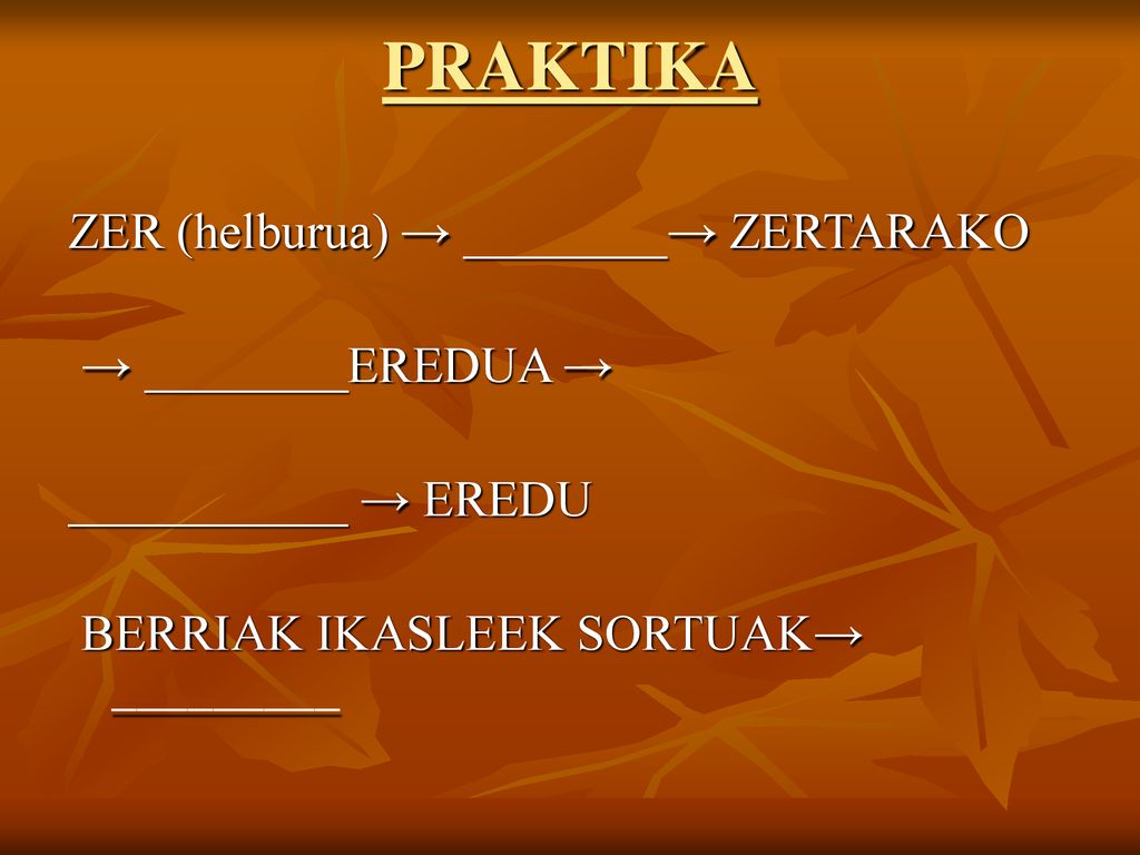 PRAKTIKA ZER (helburua) → ________→ ZERTARAKO → ________EREDUA →