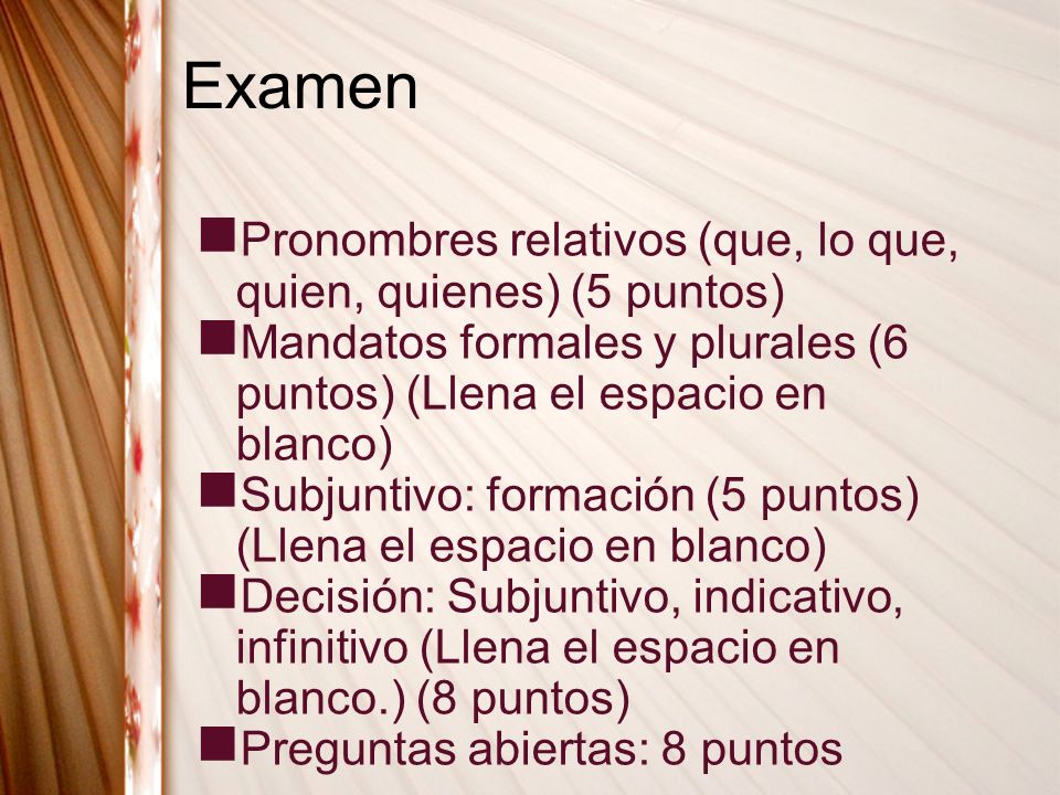 Examen Pronombres relativos (que, lo que, quien, quienes) (5 puntos)