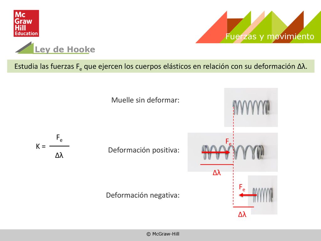Fuerzas y movimiento Ley de Hooke. Estudia las fuerzas Fe que ejercen los cuerpos elásticos en relación con su deformación Δλ.