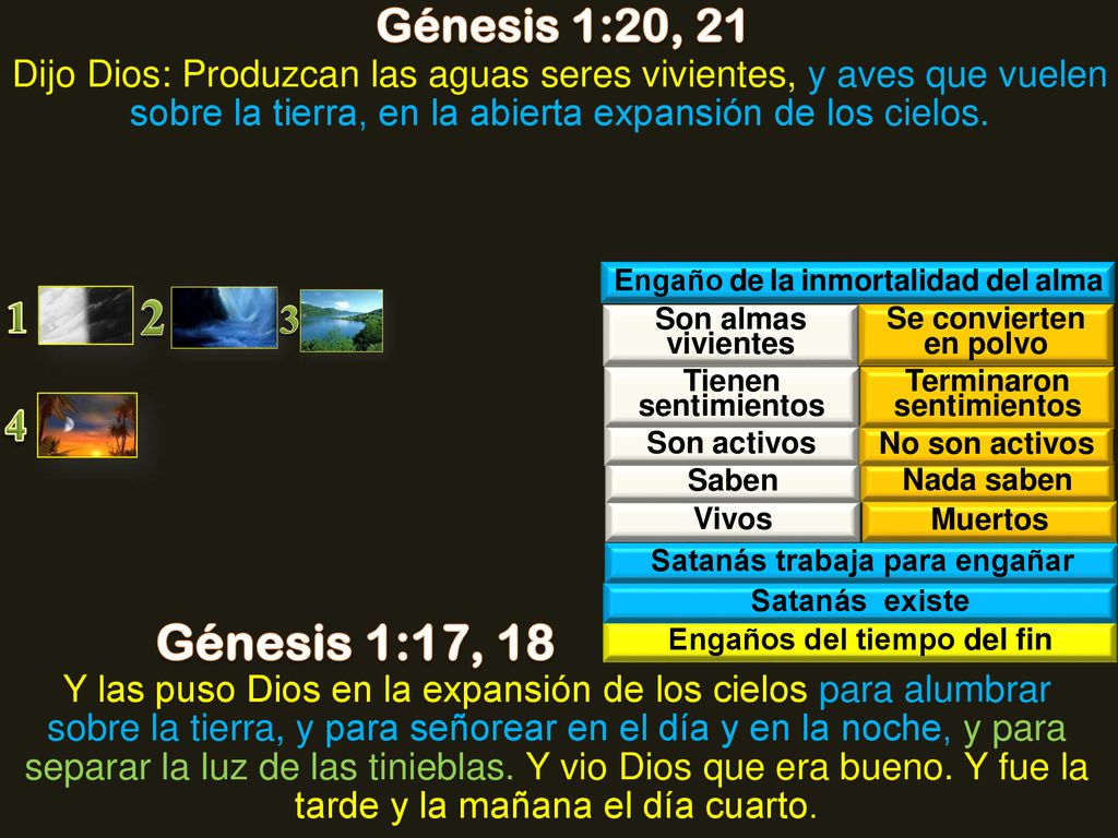 Génesis 1:20, 21 Dijo Dios: Produzcan las aguas seres vivientes, y aves que vuelen sobre la tierra, en la abierta expansión de los cielos.