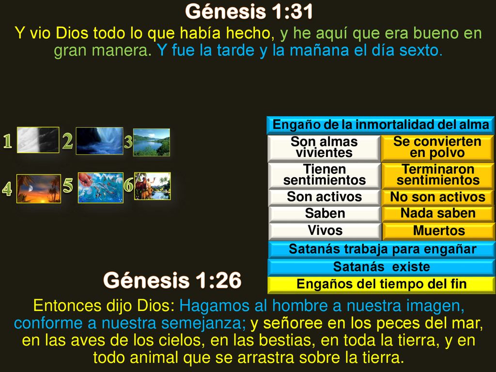 Génesis 1:31 Y vio Dios todo lo que había hecho, y he aquí que era bueno en gran manera. Y fue la tarde y la mañana el día sexto.