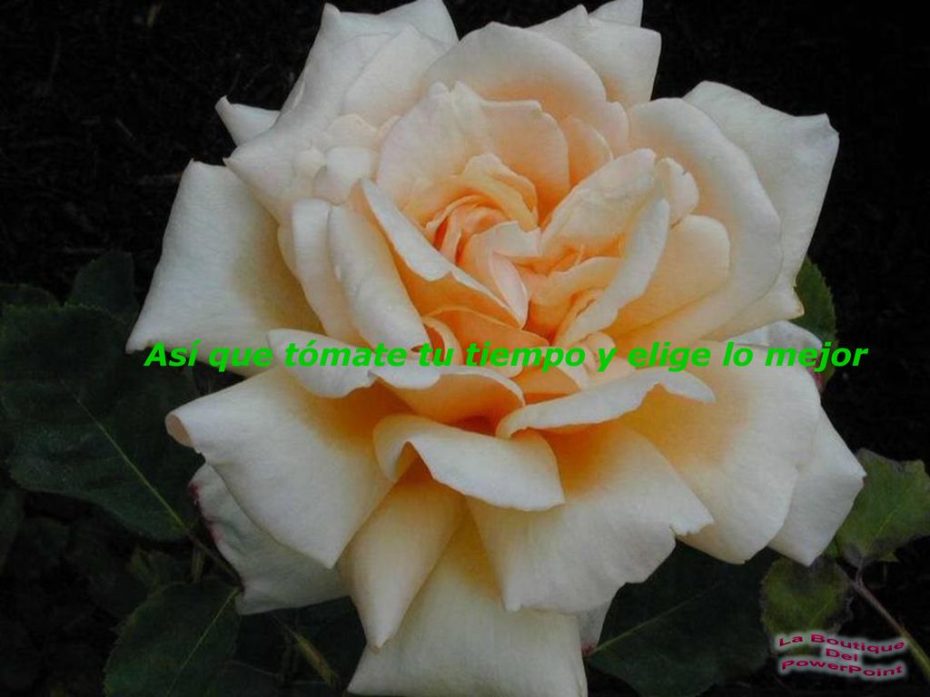 Así que tómate tu tiempo y elige lo mejor