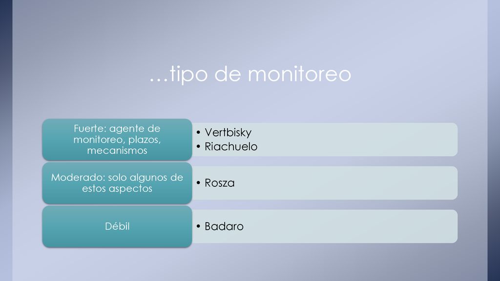 …tipo de monitoreo Vertbisky Riachuelo Rosza Badaro
