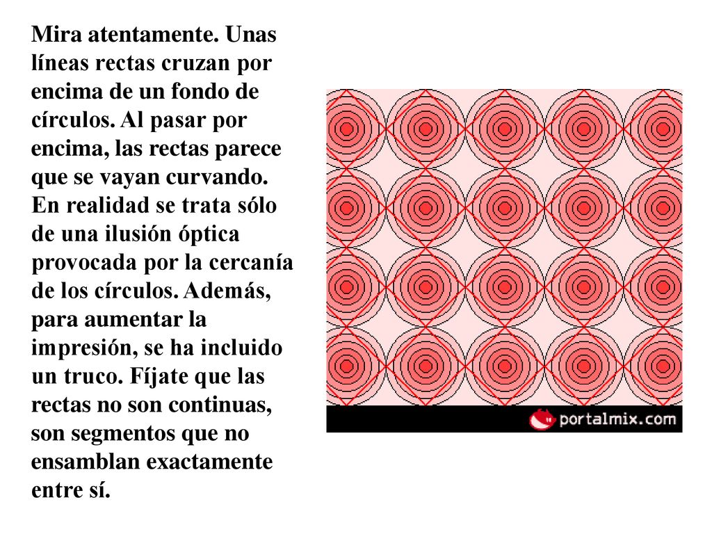 Mira atentamente. Unas líneas rectas cruzan por encima de un fondo de círculos.