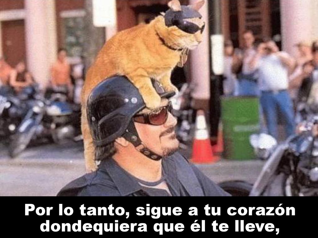 Por lo tanto, sigue a tu corazón dondequiera que él te lleve,