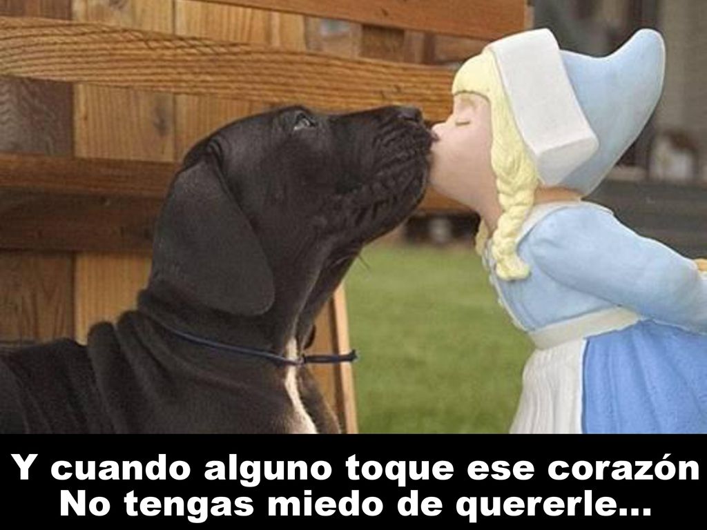 Y cuando alguno toque ese corazón No tengas miedo de quererle…