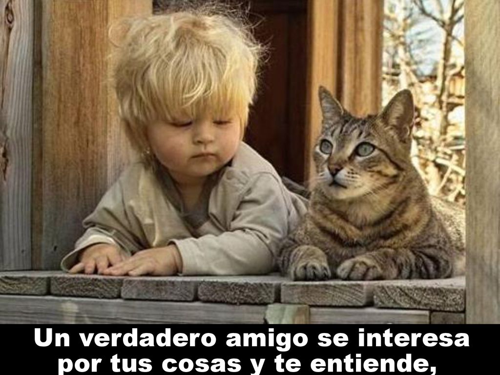 Un verdadero amigo se interesa por tus cosas y te entiende,