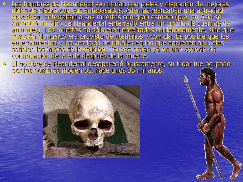 Los hombres de Neandertal se cubrían con pieles y disponían de mejores útiles de piedra que sus antepasados. Además realizaban una actividad novedosa: enterraban a sus muertos con gran esmero (p.e. en Asia se encontró un niño de Neandertal enterrado entre un círculo de cuernos de animales). Los muertos no sólo eran enterrados cuidadosamente, sino que también el muerto era provisto de utensilios y comida. Es posible que los enterramientos y los vestigios de rituales en los que aparecen animales señalen los inicios de la religión. Tal vez creían ya en una especie de continuación de la vida después de la muerte.