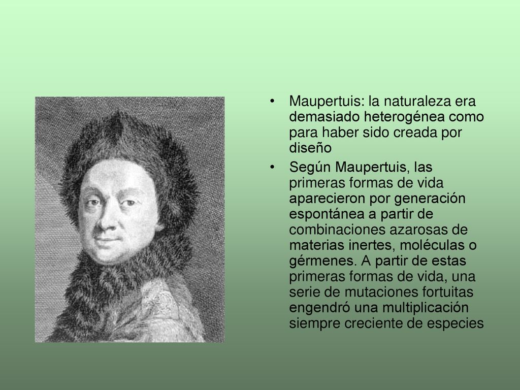 Maupertuis: la naturaleza era demasiado heterogénea como para haber sido creada por diseño