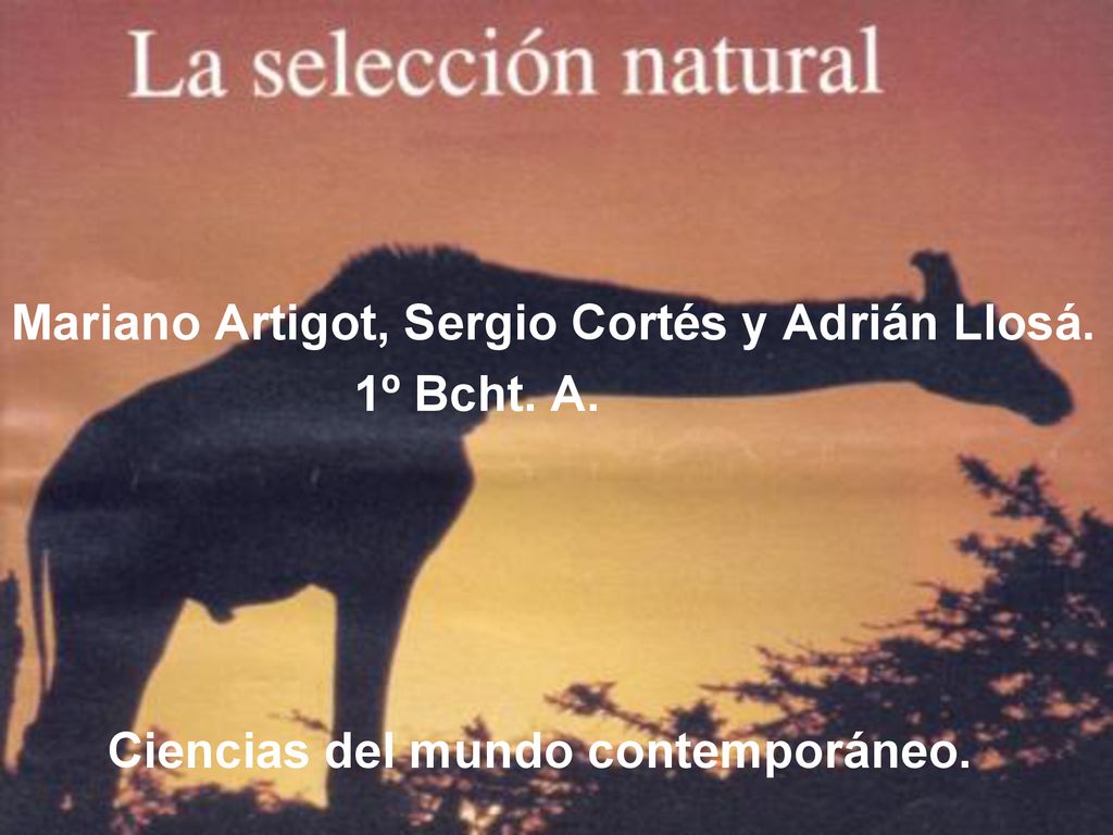 Mariano Artigot, Sergio Cortés y Adrián Llosá.