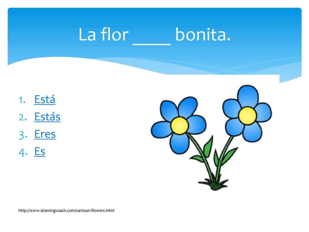 La flor ____ bonita. Está Estás Eres Es