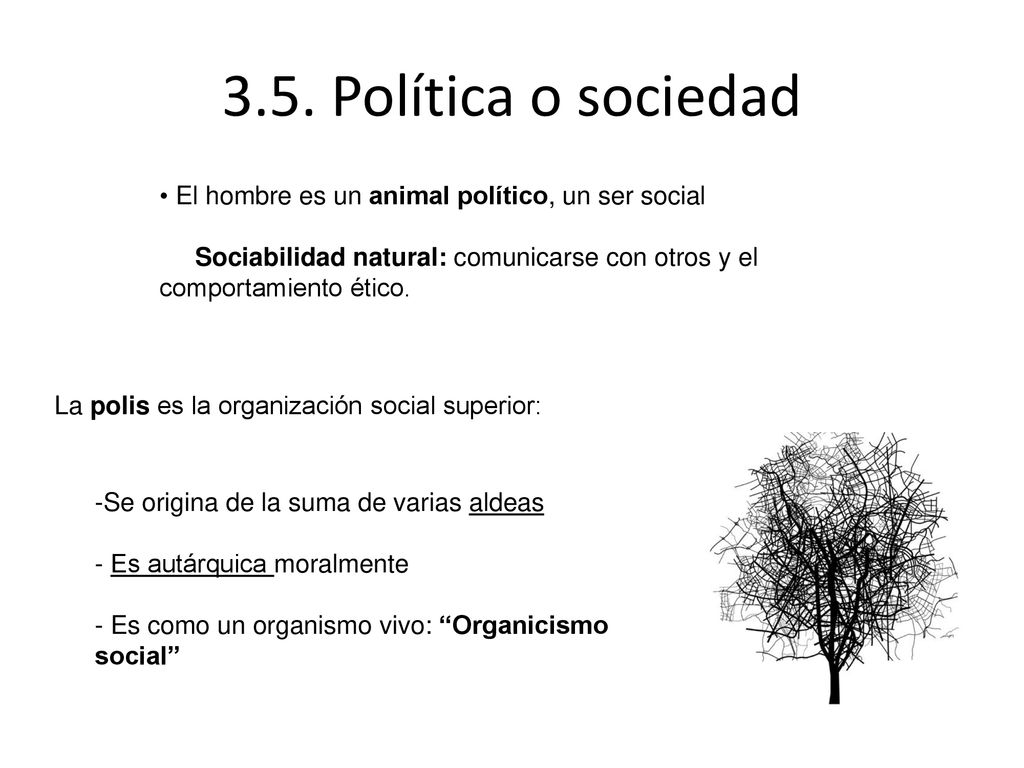 3.5. Política o sociedad El hombre es un animal político, un ser social. Sociabilidad natural: comunicarse con otros y el comportamiento ético.