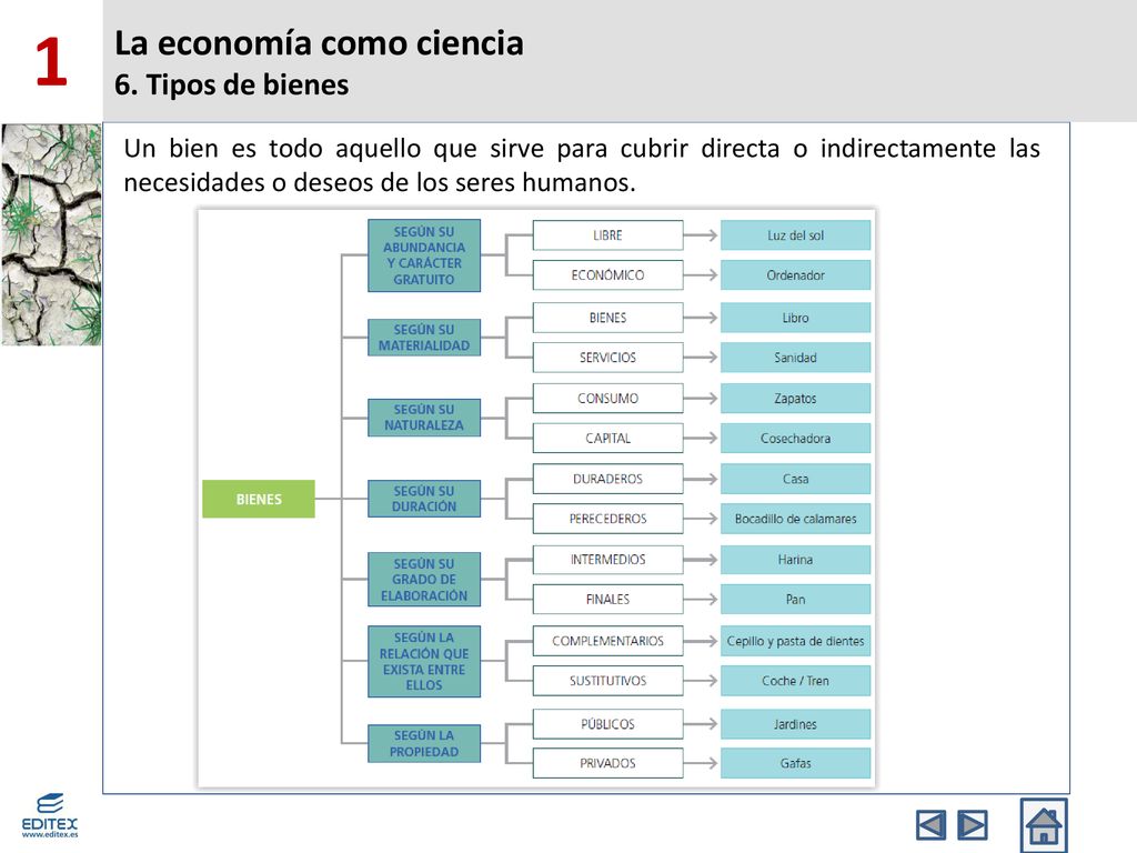 1 La economía como ciencia 6. Tipos de bienes