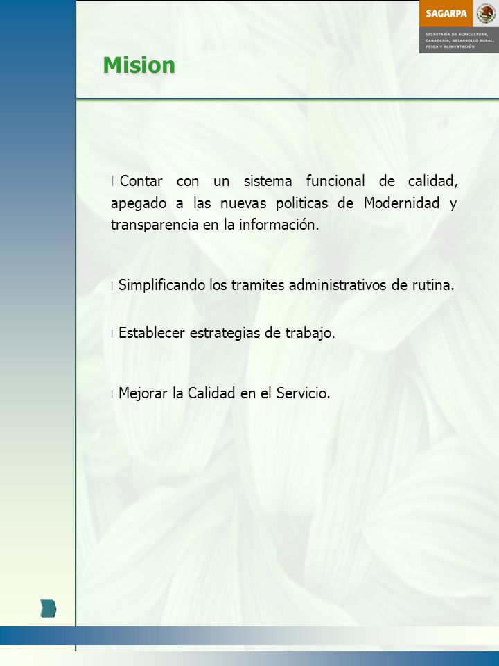 Mision Contar con un sistema funcional de calidad, apegado a las nuevas politicas de Modernidad y transparencia en la información.