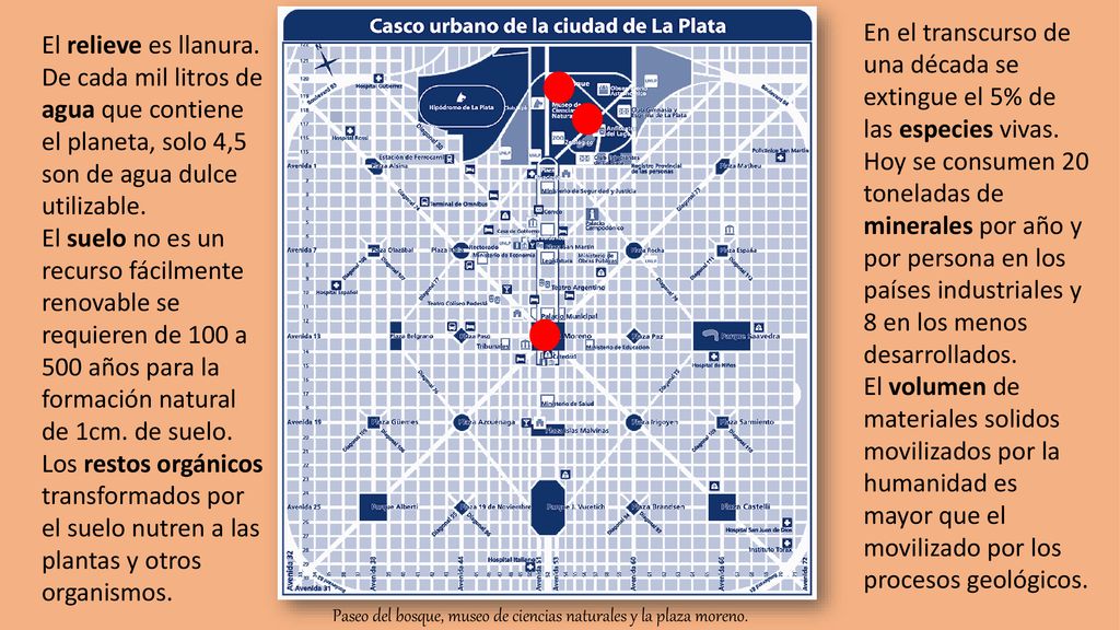En el transcurso de una década se extingue el 5% de las especies vivas.