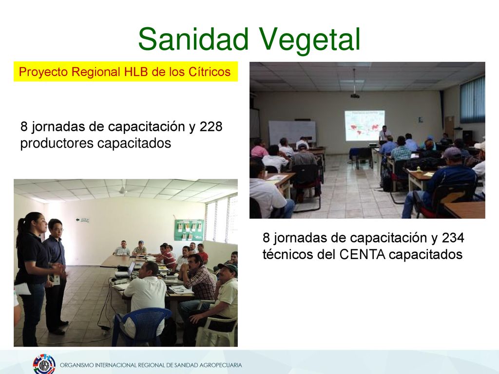 Sanidad Vegetal Proyecto Regional HLB de los Cítricos. 8 jornadas de capacitación y 228 productores capacitados.
