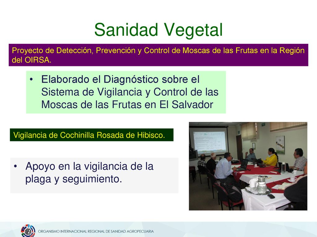 Sanidad Vegetal Proyecto de Detección, Prevención y Control de Moscas de las Frutas en la Región del OIRSA.