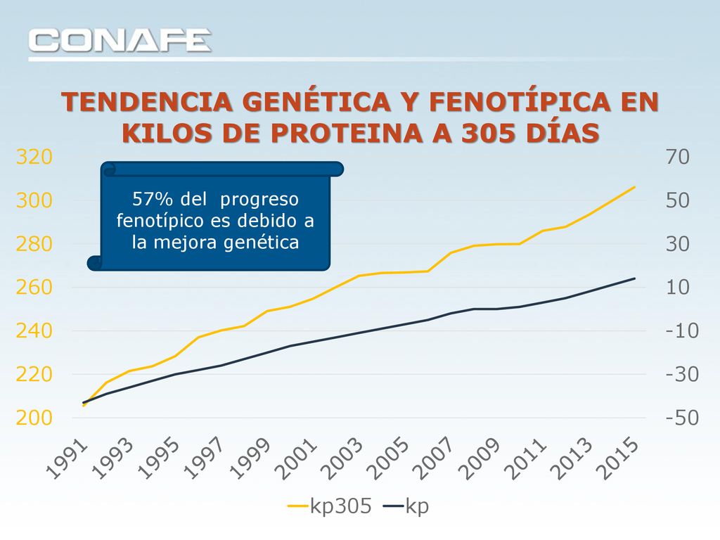 TENDENCIA GENÉTICA Y FENOTÍPICA EN KILOS DE PROTEINA A 305 DÍAS
