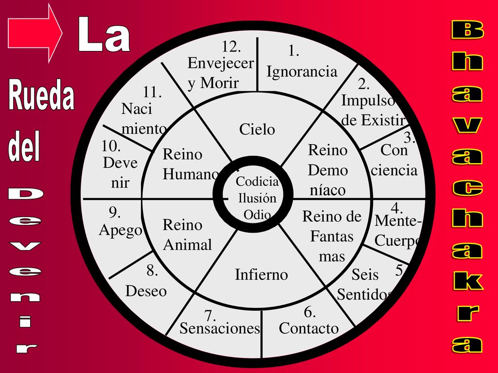 La Bhavachakra Devenir Rueda del Envejecery Morir Ignorancia 2.