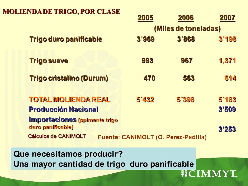 Que necesitamos producir Una mayor cantidad de trigo duro panificable