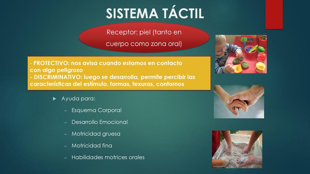 Receptor: piel (tanto en cuerpo como zona oral)