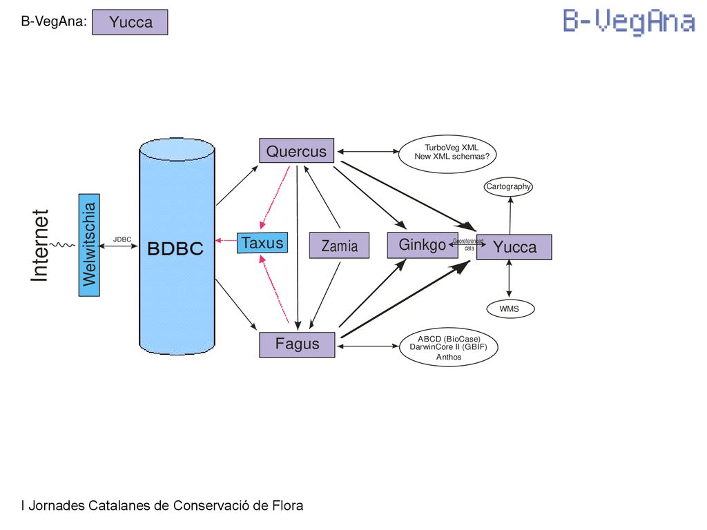 B-VegAna: I Jornades Catalanes de Conservació de Flora