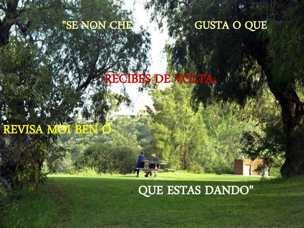 RECIBES DE VOLTA, REVISA MOI BEN O QUE ESTAS DANDO