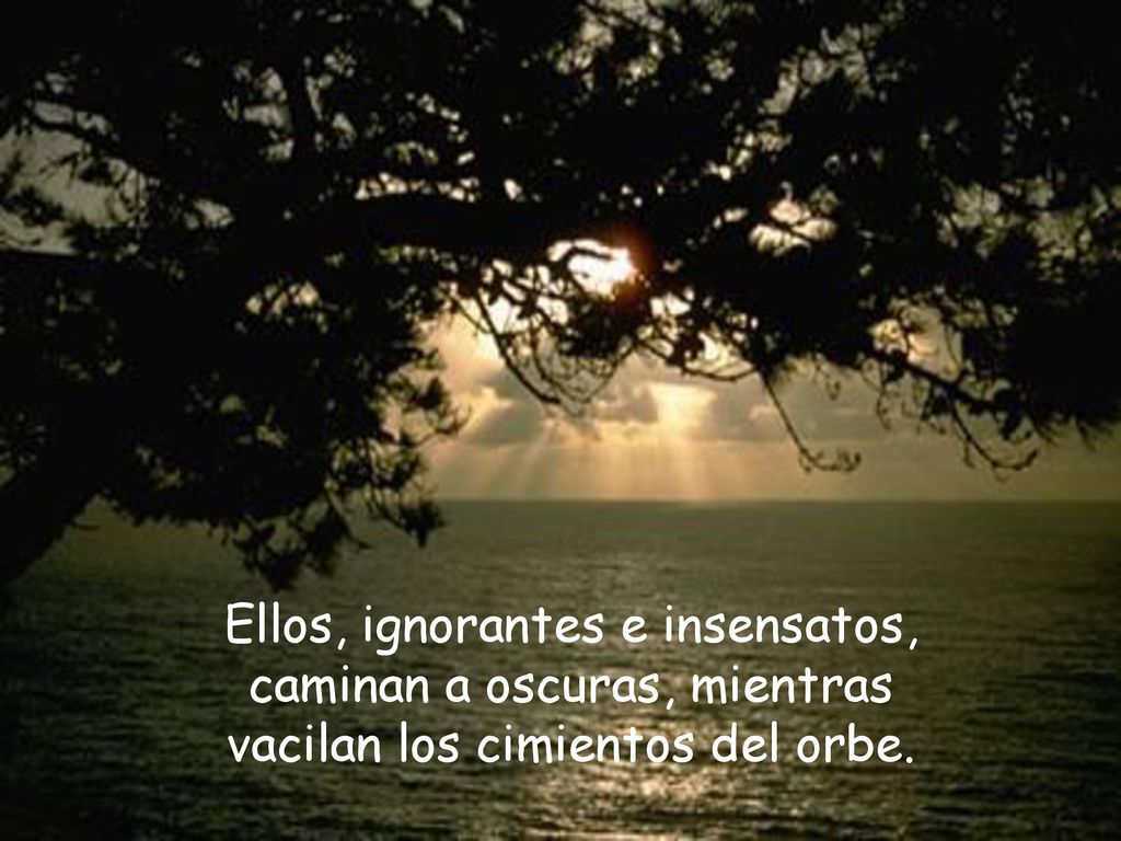 Ellos, ignorantes e insensatos, caminan a oscuras, mientras vacilan los cimientos del orbe.