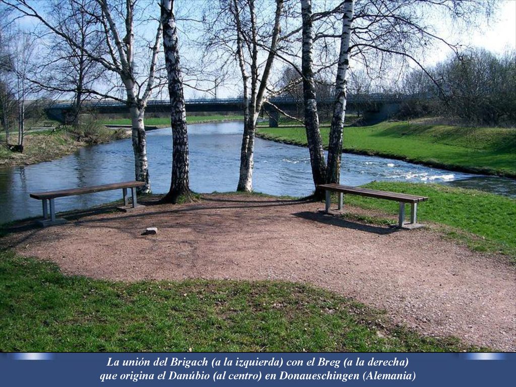 La unión del Brigach (a la izquierda) con el Breg (a la derecha) que origina el Danúbio (al centro) en Donaueschingen (Alemania)