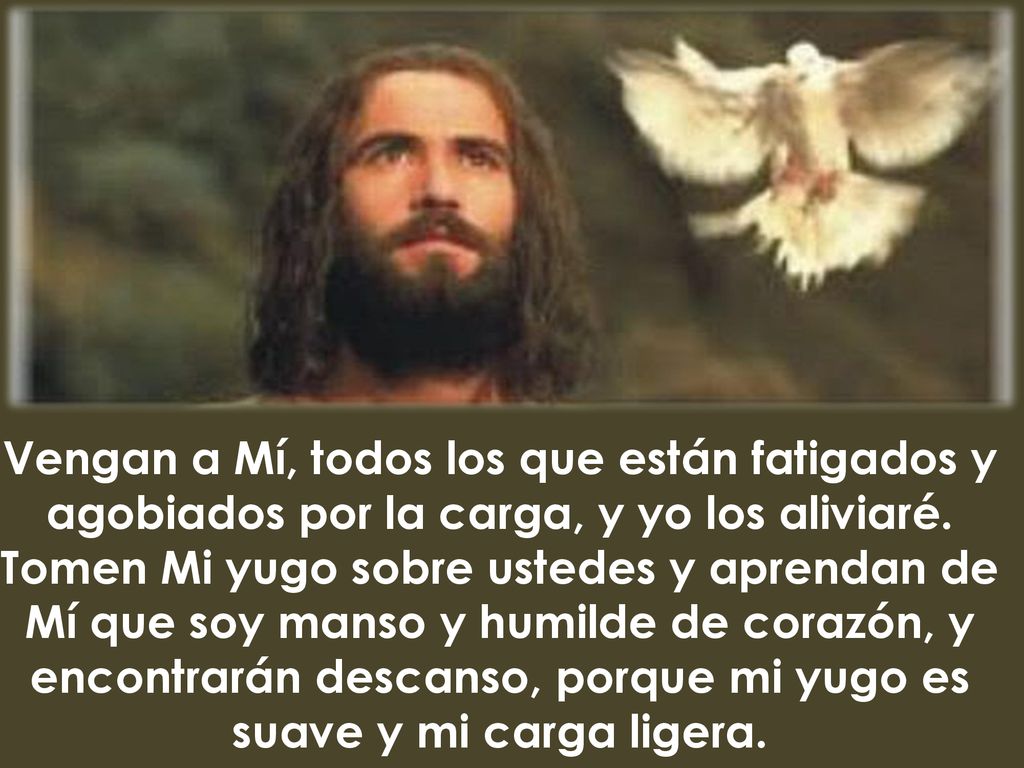 Vengan a Mí, todos los que están fatigados y agobiados por la carga, y yo los aliviaré.